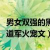 男女双强的黑道宠文一对一宠文（男强女强黑道军火宠文）