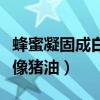 蜂蜜凝固成白色像猪油很硬（蜂蜜凝固成白色像猪油）