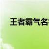 王者霸气名字男英雄（王者霸气名字男）