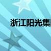 浙江阳光集团简介资料(浙江阳光集团) 浙江阳光集团简介资料(浙江阳光集团)