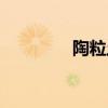 陶粒土有什么用（陶粒土）