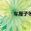 车厘子等级有哪些（车厘子等级）