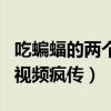 吃蝙蝠的两个美女情况怎么样了(美女吃蝙蝠视频疯传) 吃蝙蝠的两个美女情况怎么样了(美女吃蝙蝠视频疯传)