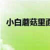 小白蘑菇里面发黑了还能吃吗（小白蘑菇）