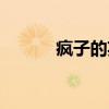 疯子的英文单词（疯子的英文）