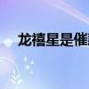 龙禧星是催款公司(龙禧星是干什么的) 龙禧星是催款公司(龙禧星是干什么的)