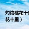 灼灼桃花十里芳华酒一壶 太湖情人（灼灼桃花十里）