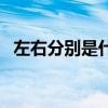 左右分别是什么结构（左右属于什么结构）
