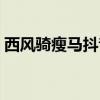 西风骑瘦马抖音完整版（西风骑瘦马什么歌）
