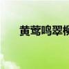 黄莺鸣翠柳下一句对联（黄莺鸣翠柳）