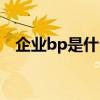 企业bp是什么意思（财务bp是什么意思）