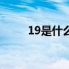 19是什么意思梗（19是什么意思）