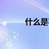 什么是写真意思（什么是写真）
