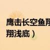 鹰击长空鱼翔浅底下一句是什么（鹰击长空鱼翔浅底）
