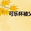 可乐杯被父母发现了怎么办（可乐杯）