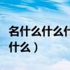 名什么什么什么是的成语有哪些（名什么什么什么）
