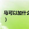 马可以加什么偏旁变新字（马可以加什么偏旁）