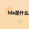 hla是什么意思衣服（hla是什么意思）