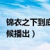 锦衣之下到底什么时候播出（锦衣之下什么时候播出）