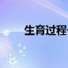 生育过程一般需要多久（生育过程）