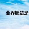 业界翘楚是什么意思（翘楚是什么意思）