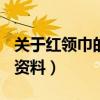 关于红领巾的内容资料100字（关于红领巾的资料）