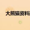 大熊猫资料简介50字（大熊猫资料简介）