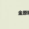 金原瞳 小说 英文（金原瞳）