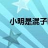 小明是混子吗(小明是一个很混的小孩) 小明是混子吗(小明是一个很混的小孩)
