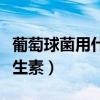 葡萄球菌用什么抗生素好（葡萄球菌用什么抗生素）