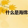 什么是海绵城市概念（什么是海绵城市）