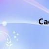 Caopom免费公开视频 Caopom免费公开视频