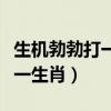 生机勃勃打一生肖精选解释落实（生机勃勃打一生肖）