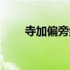 寺加偏旁组新字（去加偏旁组新字）