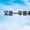 又是一年春来到的全诗（又是一年春来到）