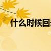 什么时候回来怎么回答（什么时候回来）