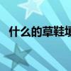 什么的草鞋填空二年级（什么的草鞋填空）