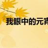 我眼中的元宵节小练笔（我眼中的元宵节）