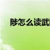 陟怎么读武陟县属于哪个市（陟怎么读）