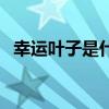 幸运叶子是什么品牌（幸运叶子是正品么）
