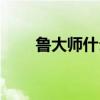 鲁大师什么用处（鲁大师有什么用）