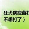 狂犬病疫苗打过一针不想打了（狂犬打完一针不想打了）