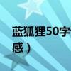 蓝狐狸50字读后感怎么写（蓝狐狸50字读后感）