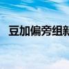 豆加偏旁组新字有哪些（豆加偏旁组新字）