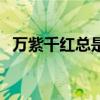 万紫千红总是春全首诗（万紫千红总是春）