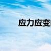 应力应变曲线怎么分析（应力应变）