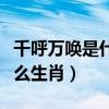 千呼万唤是什么生肖动物最佳（千呼万唤是什么生肖）
