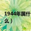 1944年属什么生肖属相的大了（1944年属什么）