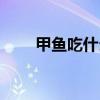 甲鱼吃什么怎么喂养（甲鱼吃什么）
