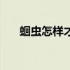 蛔虫怎样才能死呢（蛔虫怎样才能死）